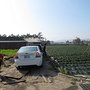 IMG_1573.JPG