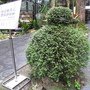IMG_0860.JPG