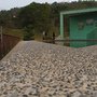IMG_1060.JPG