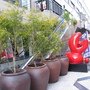 IMG_0768.JPG