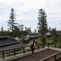 IMG_0934.JPG