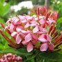IMG_0369_resize.JPG