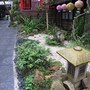 IMG_0861.JPG