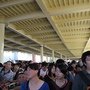 IMG_0937_resize.JPG