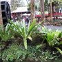 IMG_0893.JPG