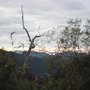 DSCF7564.JPG