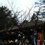 DSCF7588.JPG