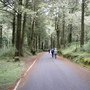 DSCF7593.JPG