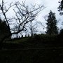 DSCF7596.JPG