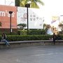 IMG_0748.JPG