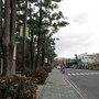 IMG_0387_resize.JPG