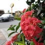 IMG_0400_resize.JPG