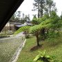IMG_0938.JPG