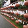 IMG_0823.JPG