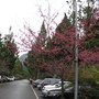 IMG_0909.JPG