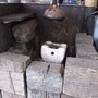 IMG_0884.JPG