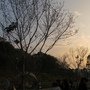 IMG_1033.JPG