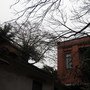 IMG_1126.JPG