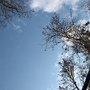 IMG_0245.JPG