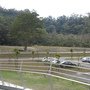 IMG_1000.JPG