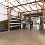 IMG_3220_resize.JPG