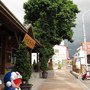 IMG_0250_resize.JPG
