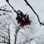 IMG_0910.JPG