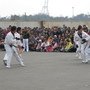IMG_1803.JPG