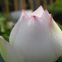IMG_0379_resize.JPG