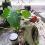 IMG_0868.JPG