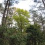 IMG_0265.JPG