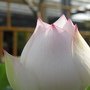 IMG_0380_resize.JPG
