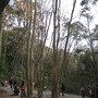 IMG_0214.JPG