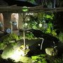 IMG_0161.JPG