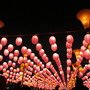 IMG_1668.JPG