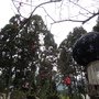 IMG_0895.JPG