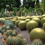 IMG_0382_resize.JPG