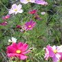 IMG_1600.JPG