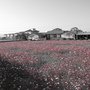 IMG_1605.JPG