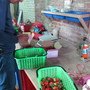 IMG_1586.JPG