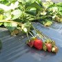 IMG_1581.JPG