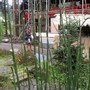 IMG_0902.JPG