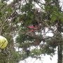 IMG_0903.JPG