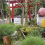 IMG_0900.JPG