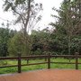 IMG_0920.JPG