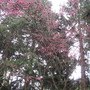 IMG_0907.JPG