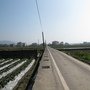 IMG_1574.JPG
