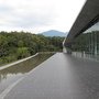 IMG_0981.JPG