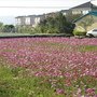 IMG_1598.JPG