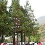 IMG_0190.JPG
